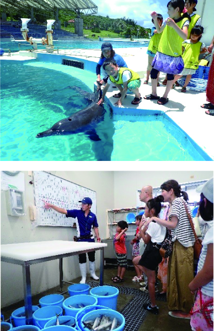 1年中遊べる！沖縄美ら海水族館と海洋博公園を完全網羅！ ／沖縄移住ママが伝授するよ♪