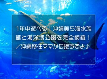 1年中遊べる！沖縄美ら海水族館と海洋博公園を完全網羅！ ／沖縄移住ママが伝授するよ♪