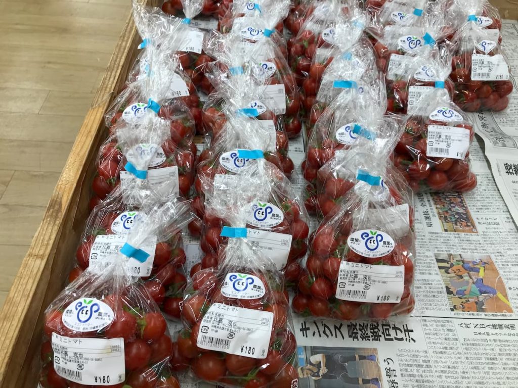 沖縄で今売られている旬の野菜やフルーツを完全網羅 南国フルーツを低価格で買える場所 名護市編 Boshitabi