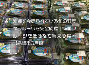 沖縄で今売られている旬の野菜やフルーツを完全網羅！南国フルーツを低価格で買える場所【名護市6月編】