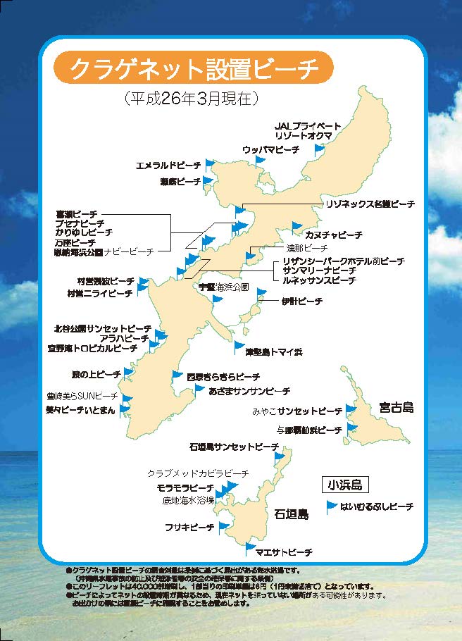 沖縄旅行者必見 天然ビーチで危険生物から身を守る5つの約束事 沖縄移住ママが伝授するよ Boshitabi