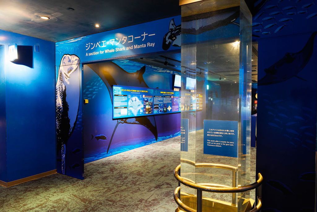 海洋博公園（沖縄美ら海水族館）『ジンベイザメ・マンタコーナー』
