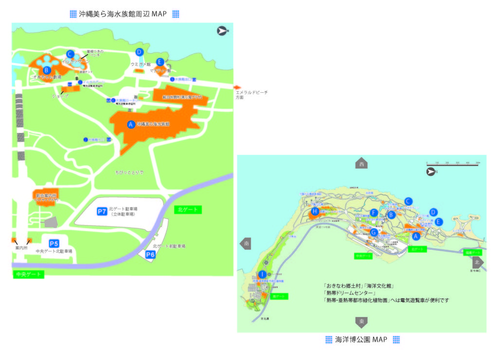 駐車場ベスポジや時間配分などを地元民が伝授 沖縄美ら海水族館編 Boshitabi