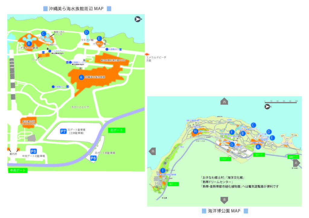 海洋博公園（沖縄美ら海水族館）全体図と駐車場
