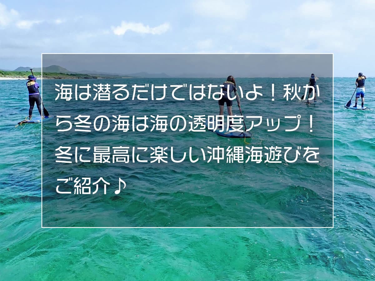 海は潜るだけではないよ 秋から冬の海は海の透明度アップ 冬に最高に楽しい沖縄海遊びをご紹介 Boshitabi