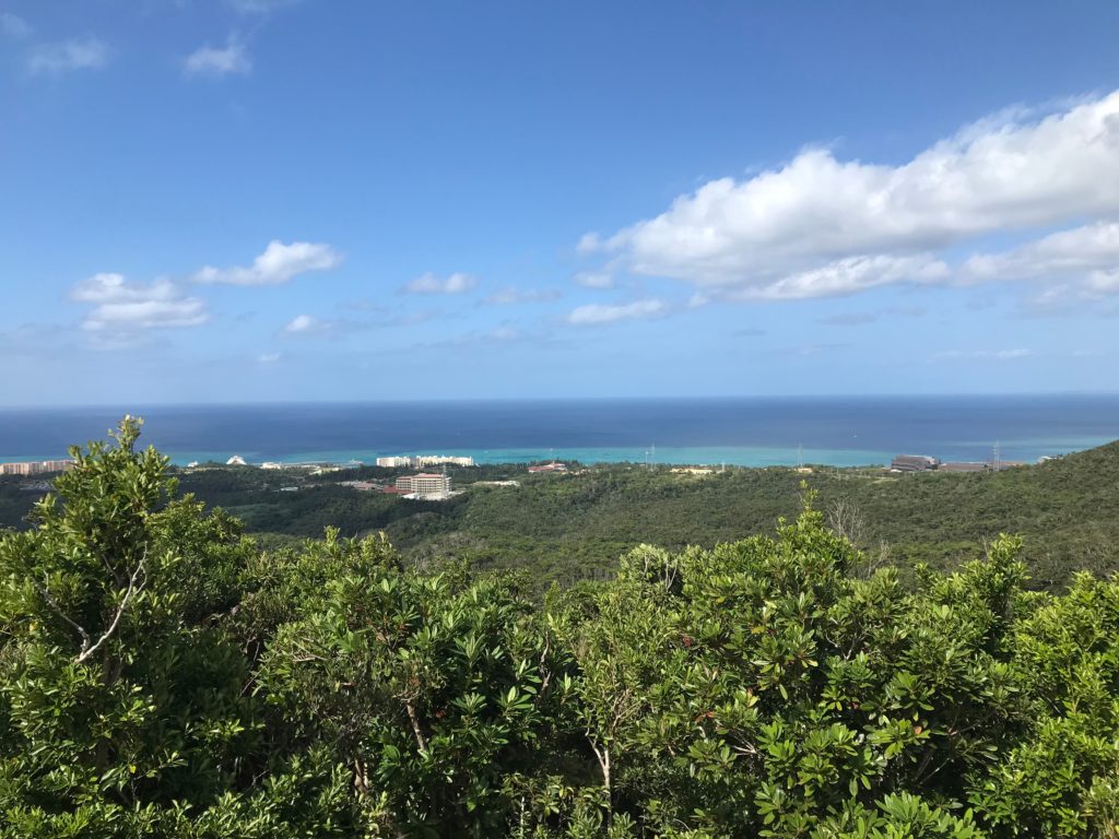 冬の沖縄旅行 癒しメインの県民オススメ滞在プラン Boshitabi