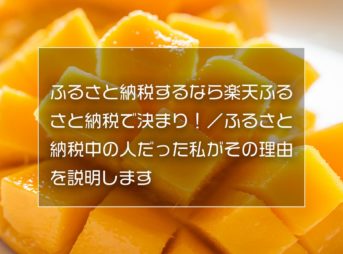 ふるさと納税するなら楽天ふるさと納税で決まり！／ふるさと納税中の人だった私がその理由を説明します