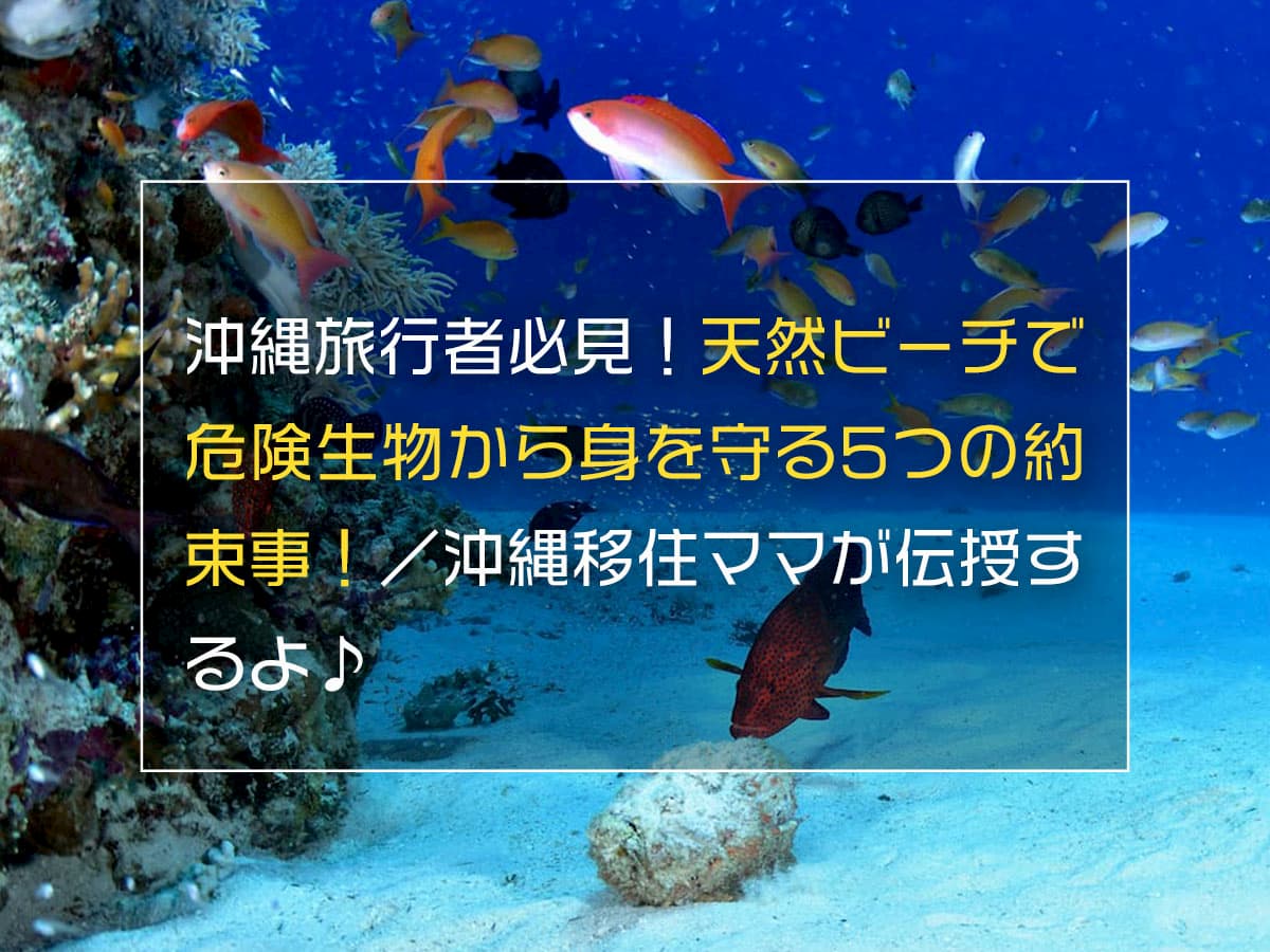 沖縄旅行者必見！危険生物から身を守る5つの約束事！／沖縄移住ママが伝授するよ♪