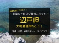沖縄北部のダイビング最強スポット｜本島最北端『辺戸岬』と与論島の間が凄すぎる