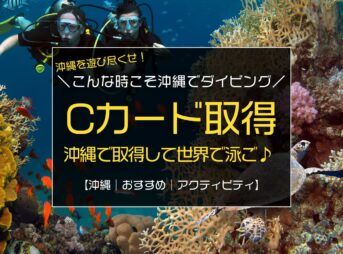 今がチャンス！沖縄のダイビングライセンスが格安に？！海の免許を取得して魚と泳ごう♪