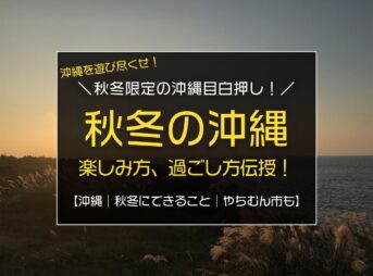 秋冬の沖縄の楽しみ方／沖縄移住ママが子連れで楽しんでいる観光を伝授！