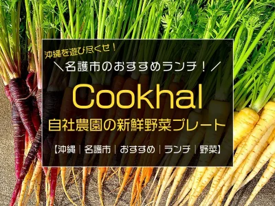 やんばる野菜がたっぷり食べられる名護市『Cookhal』のランチプレートがおすすめ
