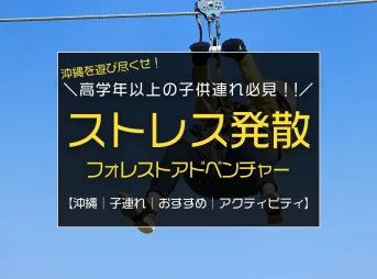 小学校高学年以上の子連れ旅行におすすめ！沖縄のフォレストアドベンチャーで遊び尽くそう！