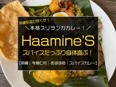 沖縄県今帰仁村のおすすめ本格スリランカカレーランチ『Haamine'S (ハーミネース)』／レビュー