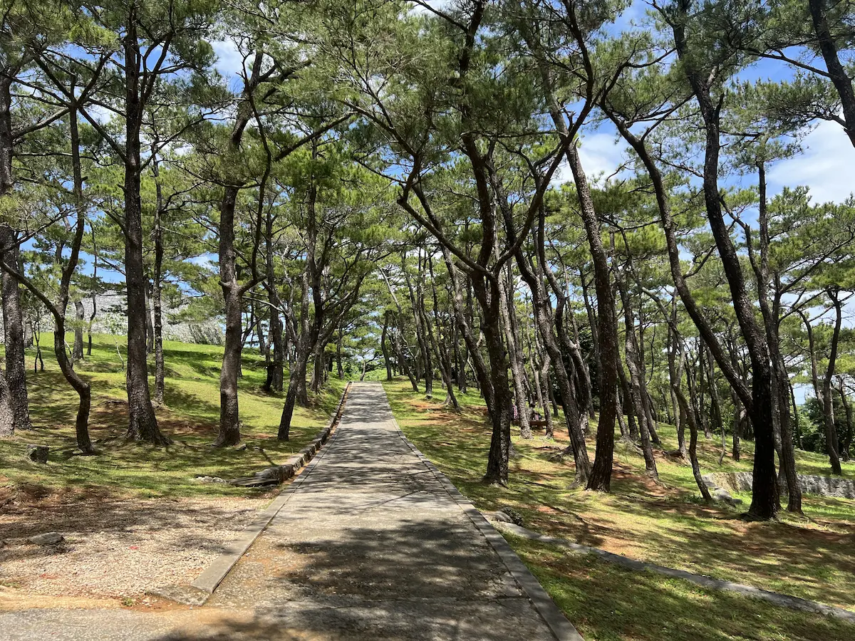穴場観光地！沖縄読谷村『座喜味城跡』は代々木公園に海を望める景観が加算されたような空間