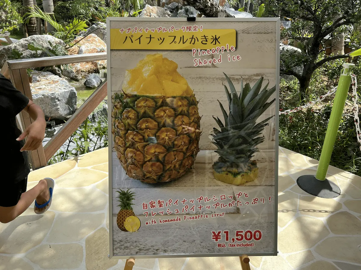 沖縄北部の観光地『名護パイナップルパーク』レビュー／特に土産物コーナーがワクワクした！
