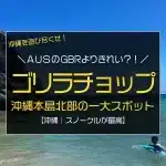 グレートバリアリーフよりきれい？！沖縄県民がおすすめする本島北部のビーチ「ゴリラチョップ」