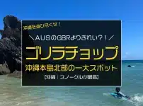 グレートバリアリーフよりきれい？！沖縄県民がおすすめする本島北部のビーチ「ゴリラチョップ」